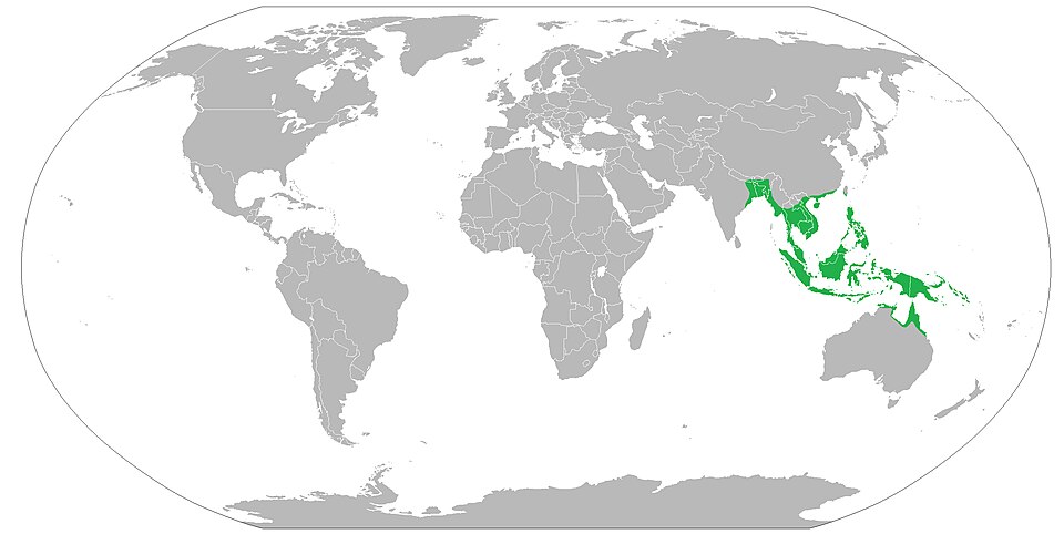 Fayl:Ficus benjamina distribution.jpg