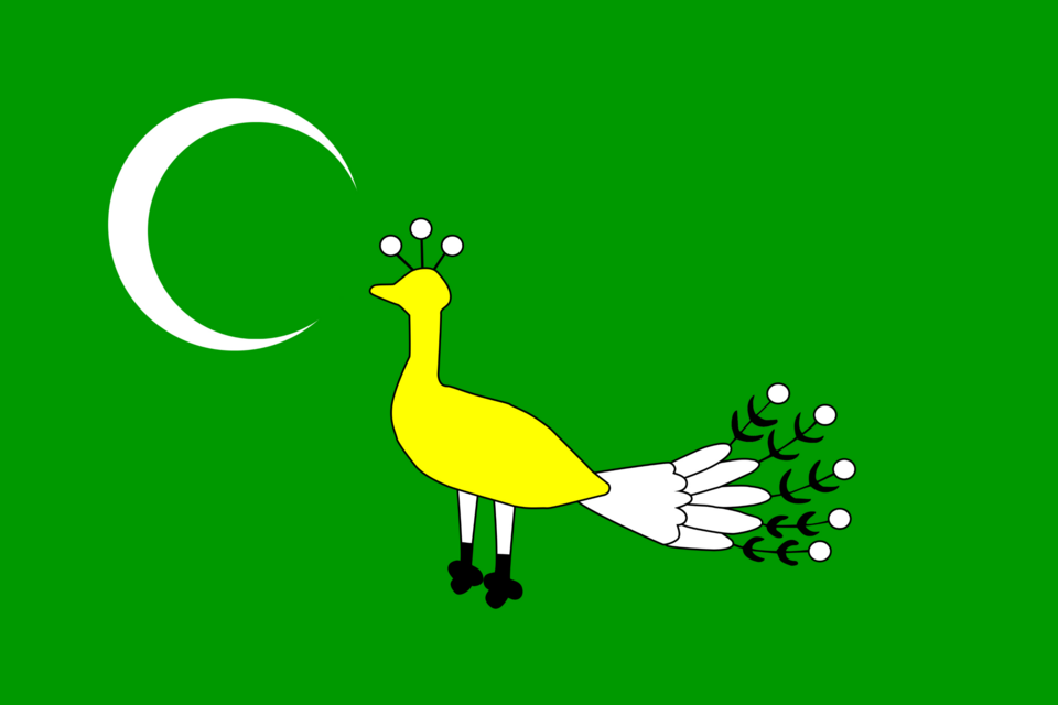 Fayl:Flag of the Ghaznavids Empire.png