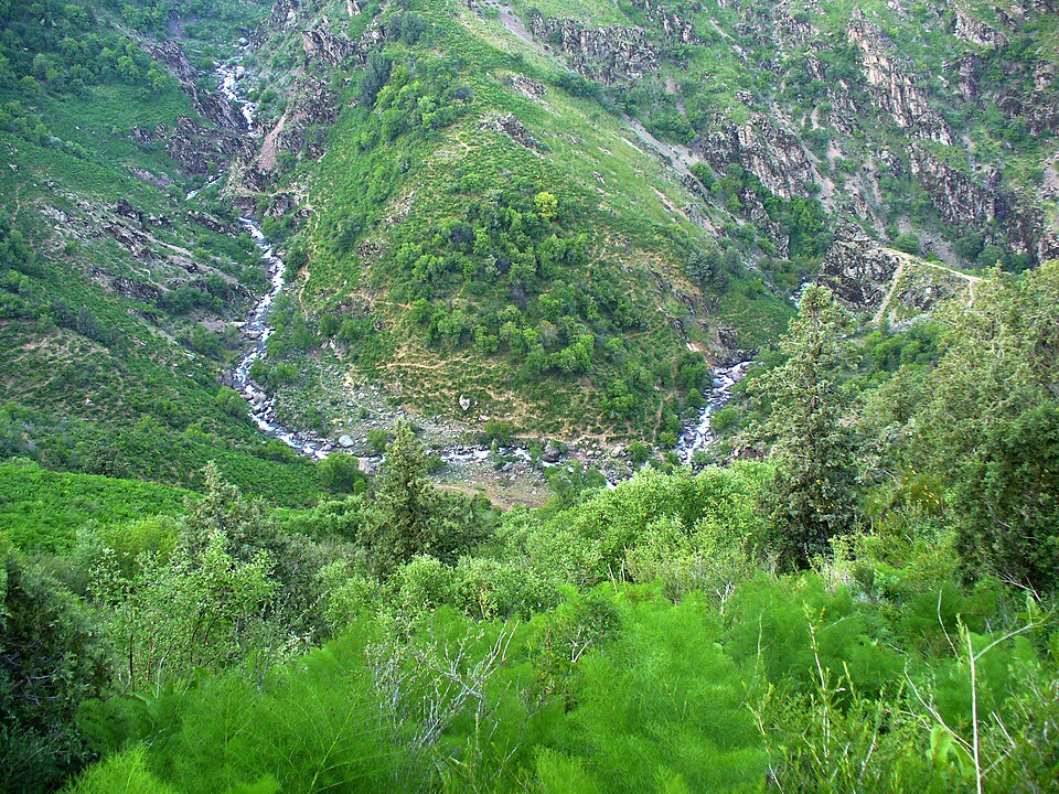 Fayl:Kizilsu valley.jpg