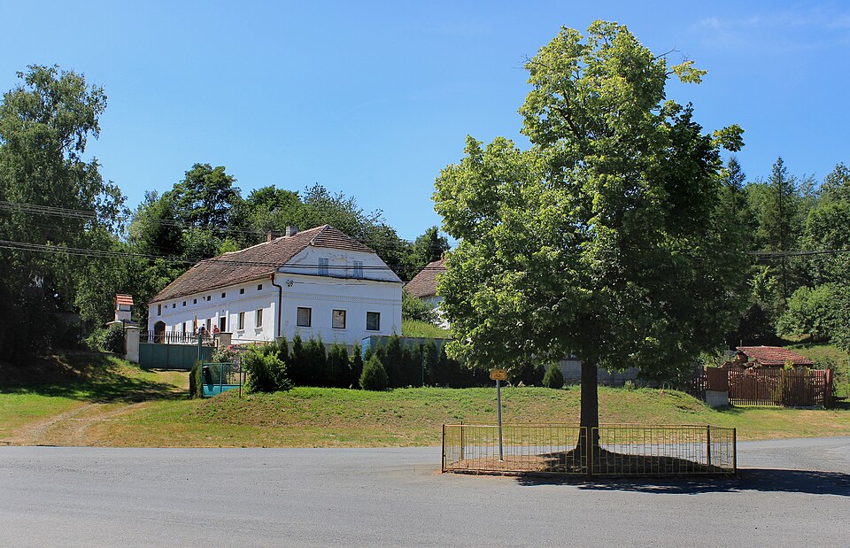 Fayl:Otov, common.jpg