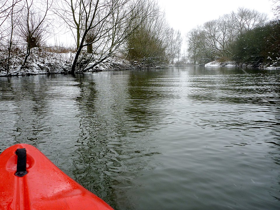 Fayl:Werse January2010.JPG