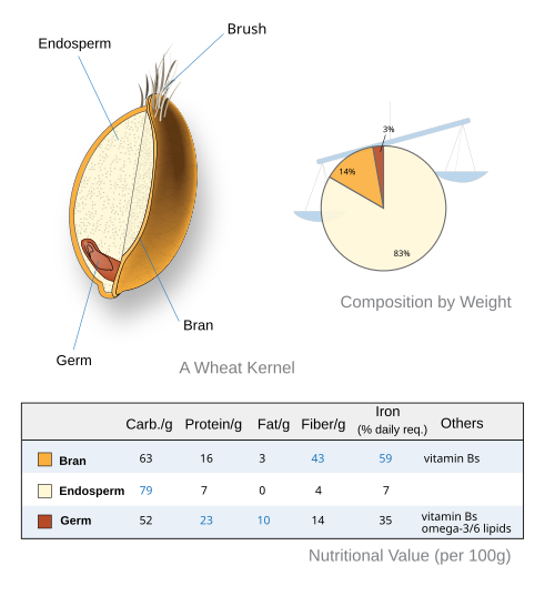 Fayl:Wheat-kernel nutrition.svg