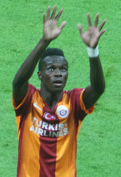 Fayl:Bruma'14.JPG