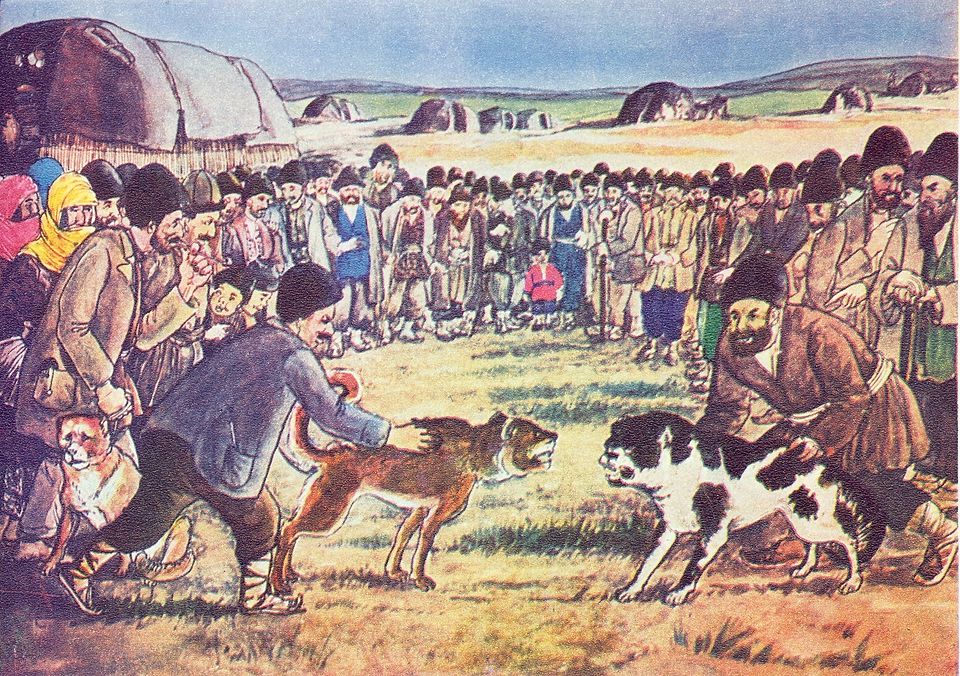 Fayl:Dog baiting.jpg