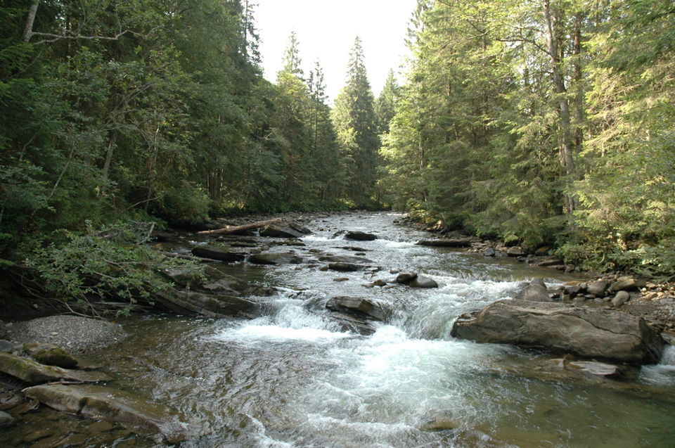 Fayl:Prut near Hoverla.jpg