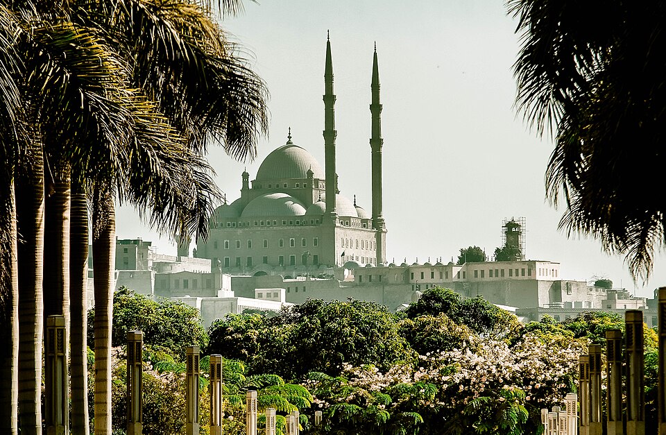 Fayl:Qalaa from Azhar Park.jpg