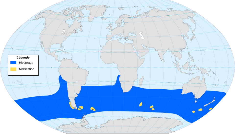 Fayl:Black-browed Albatross-map-localisation-fr.svg