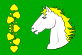 {{{rasmiy_nomi}}}ning bayrogʻi