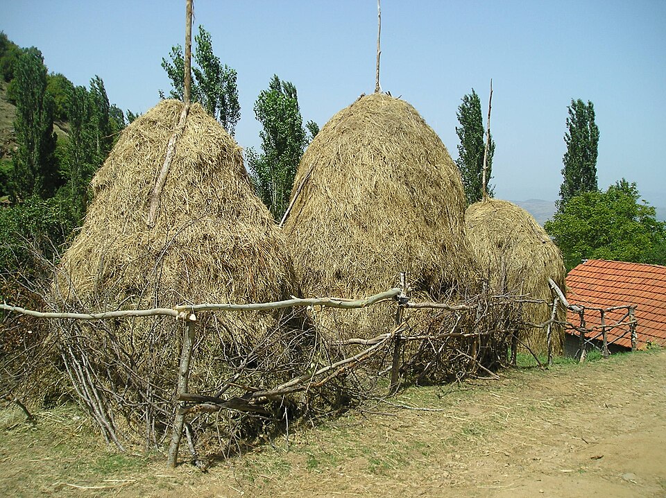 Fayl:Haystacks in Blatets.JPG