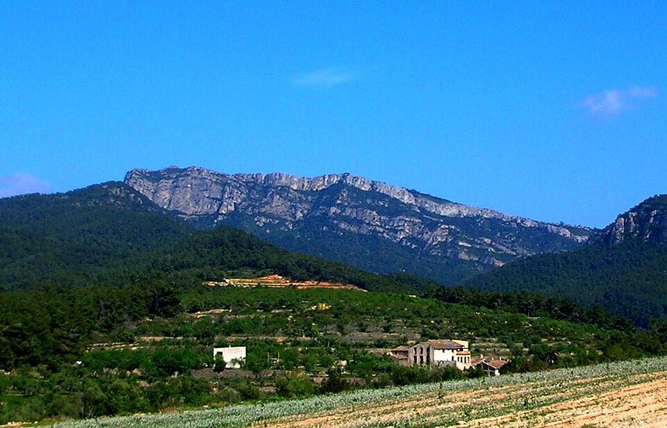 Fayl:Montalt076.JPG