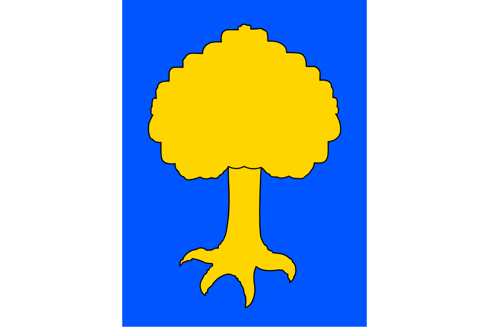 Fayl:Černovice vlajka.svg