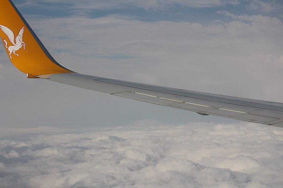 Fayl:Pegasus Airlines.JPG