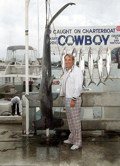 Fayl:Sphyrna mokarran fishing.jpg