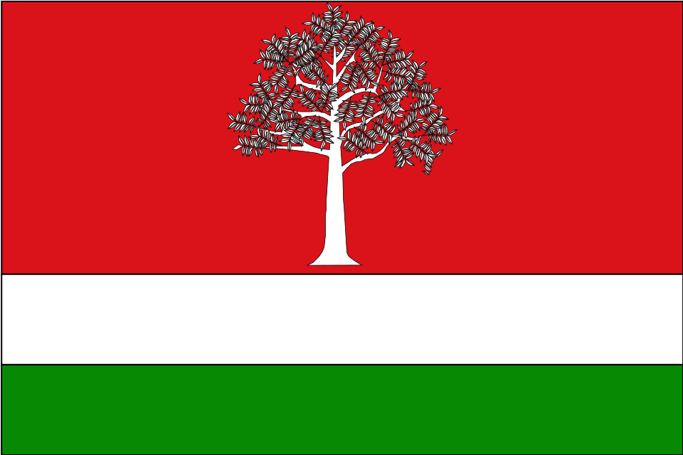Fayl:Bandera de El Fresno.svg
