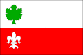 {{{rasmiy_nomi}}}ning bayrogʻi
