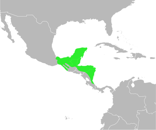 Fayl:Bufo vacilleps distribution.svg
