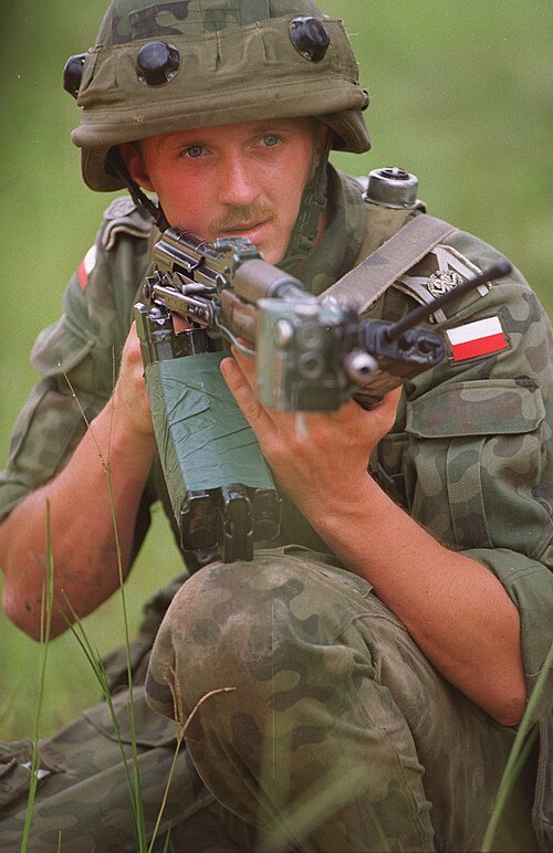 Fayl:Polish AKMS.JPEG