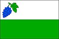 {{{rasmiy_nomi}}}ning bayrogʻi