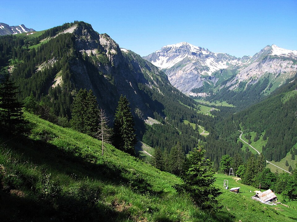 Fayl:Weisstannental.jpg