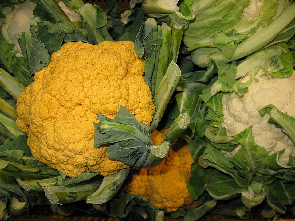 Fayl:7367-Brassica oleracea var. botrytis.JPG