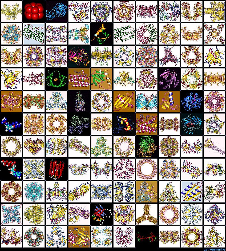 Fayl:Protein mosaic.jpg