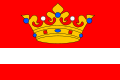 {{{rasmiy_nomi}}}ning bayrogʻi