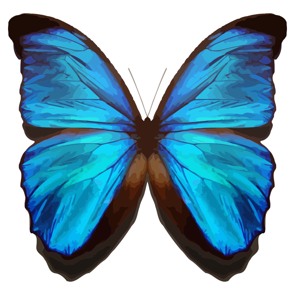 Fayl:Exceptional newcomer.svg
