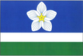 {{{rasmiy_nomi}}}ning bayrogʻi