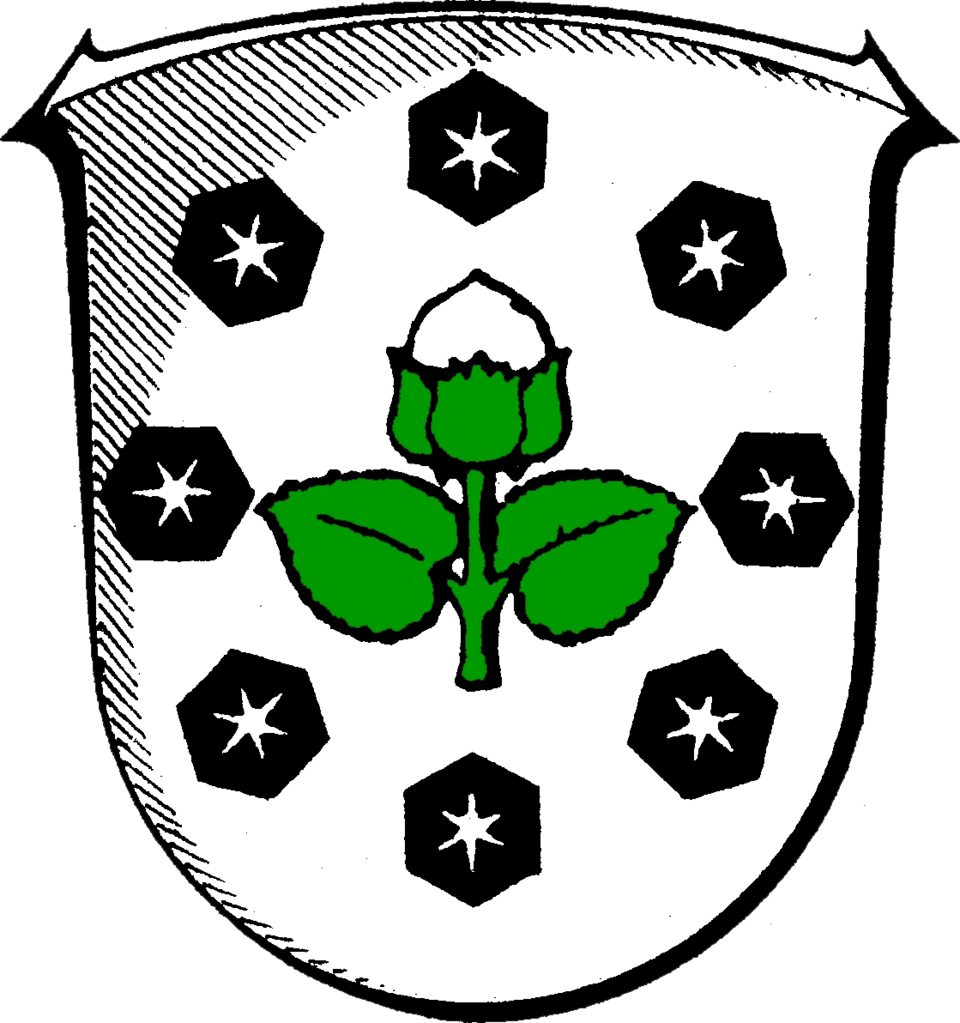 Fayl:Wappen Nüsttal.png