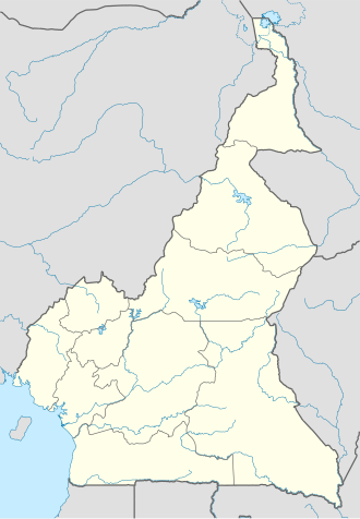 JoyXarita Kamerun