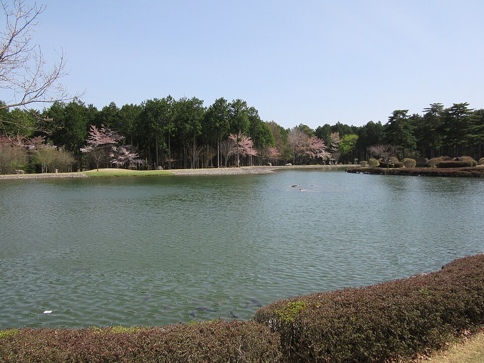 Fayl:Osiba lake.JPG