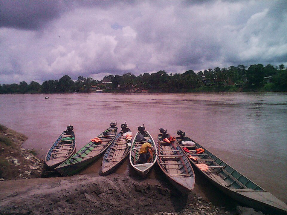 Fayl:Rio Pachitea.jpg