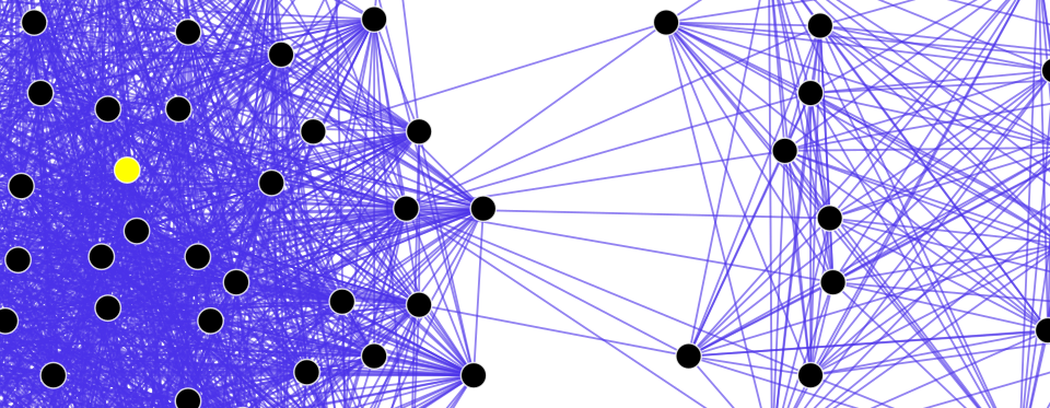 Fayl:Social Network Diagram (segment).svg