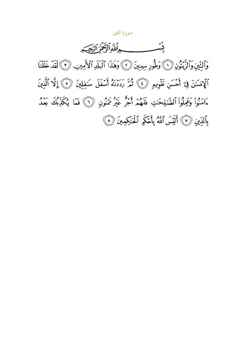 Fayl:Sura95.pdf