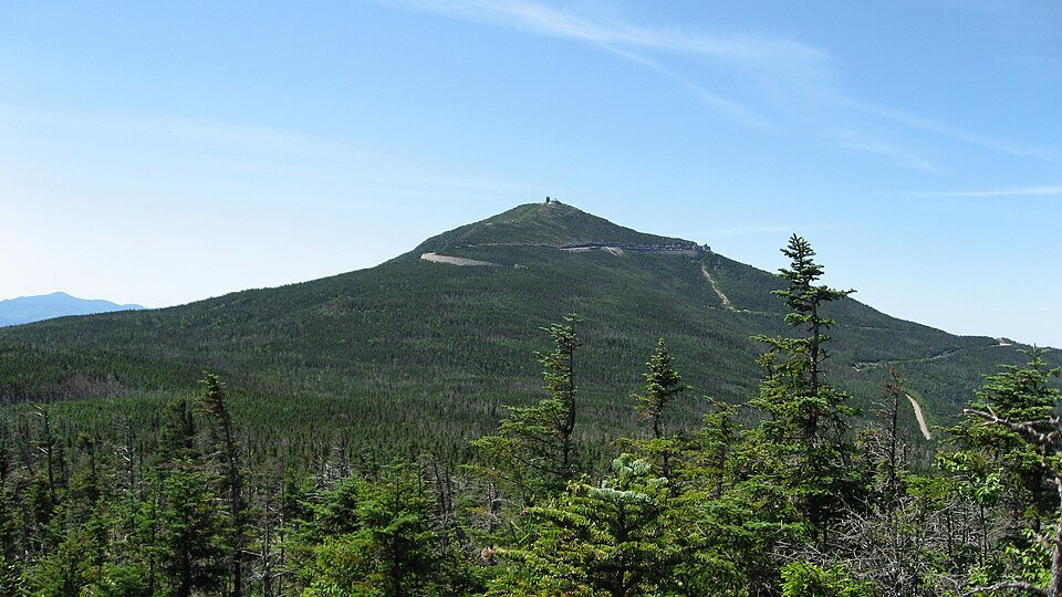 Fayl:Whiteface (1).JPG