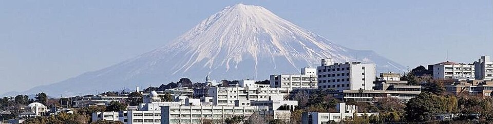 Fayl:静岡大と富士山.JPG