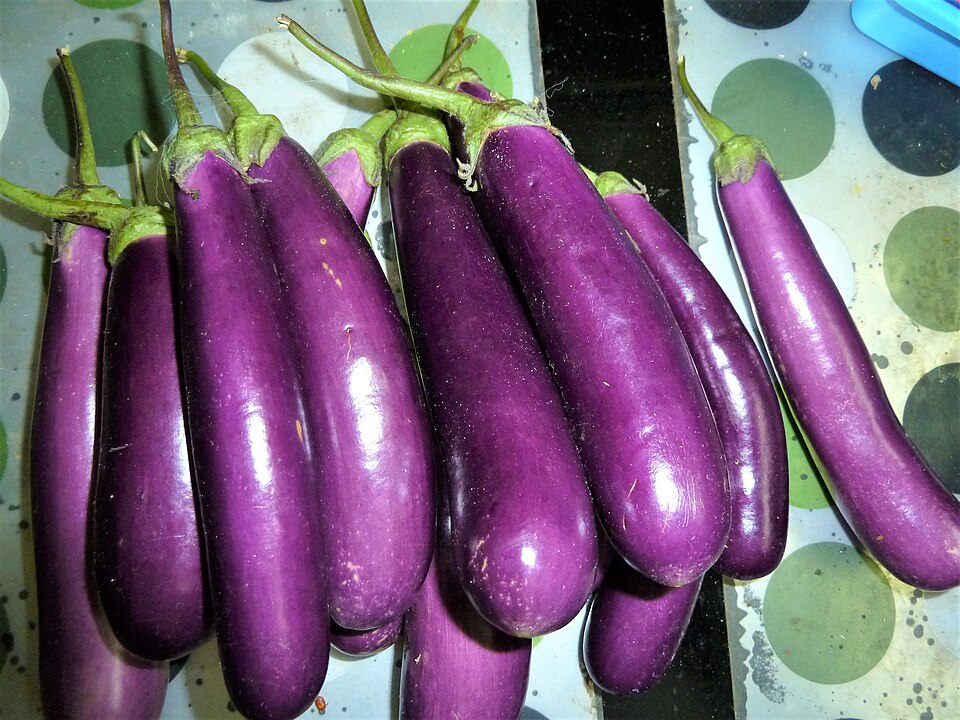 Fayl:Eleven long purple eggplants.jpg