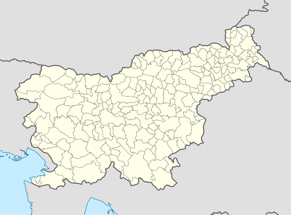 Fayl:Slovenia location map.svg