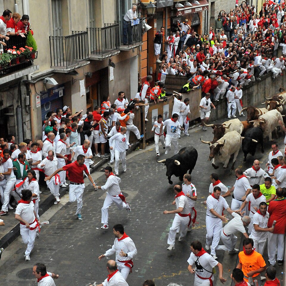 Fayl:Encierro cuesta de Santo domingo.jpg