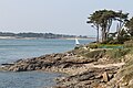 Morbihan ko'rfazi