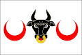 {{{rasmiy_nomi}}}ning bayrogʻi