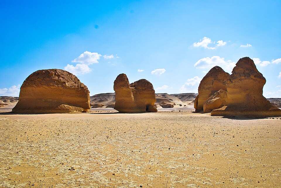 Fayl:Wadi AlHitan.jpg