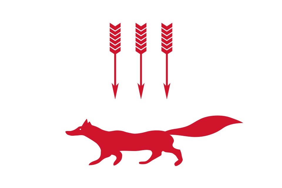 Fayl:Flag of Saransk.svg