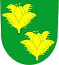 Bukvice