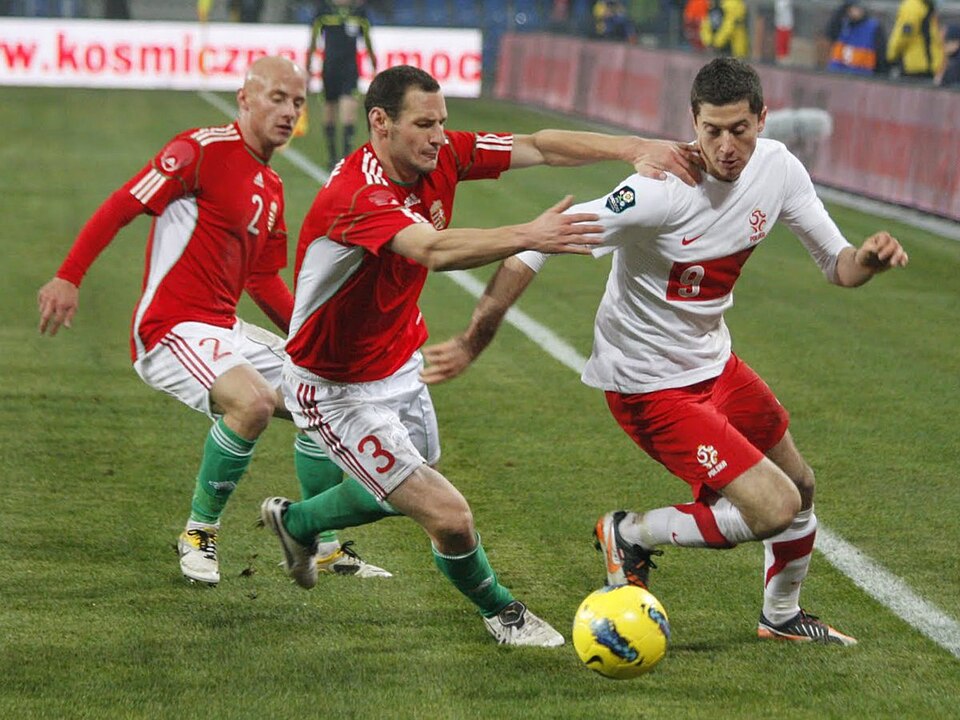 Fayl:Robert Lewandowski 2011 (3).jpg