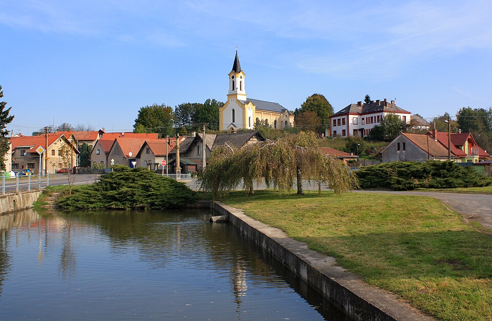 Fayl:Skořenice, common pond.jpg