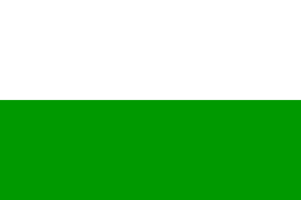 Fayl:Flagge Königreich Sachsen (1815-1918).svg