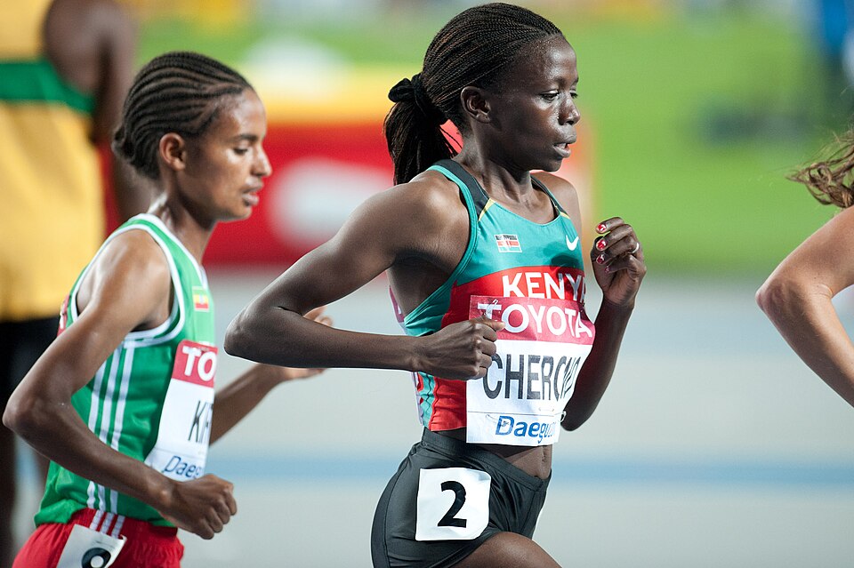 Fayl:Vivian Cheruiyot at Daegu 2011.jpg