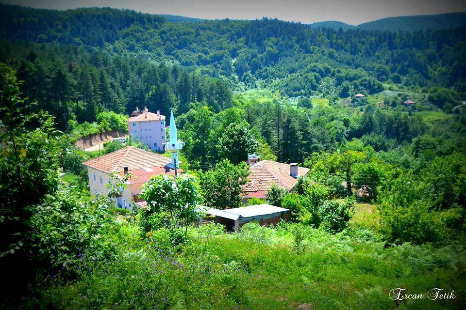Fayl:Kastamonu, Abana, Elmaçukuru Köyü (2).jpg