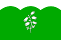 {{{rasmiy_nomi}}}ning bayrogʻi